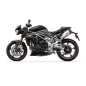 Preview: Stompgrip für Triumph Speed Triple, Bj. 16-20