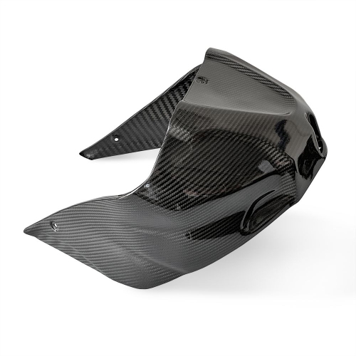 SBK Carbon Airbox Abdeckung für BMW M & S 1000 RR