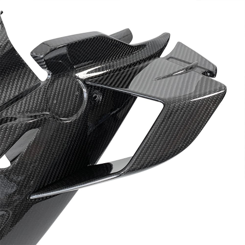 Carbon Race fairing for BMW M 1000 RR, 21-22