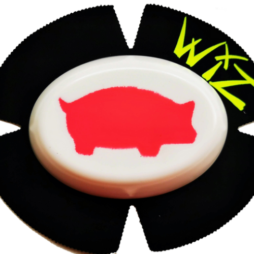 Wiz Piggy