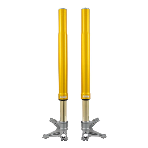 Öhlins "FGR 250" Racing Gabel