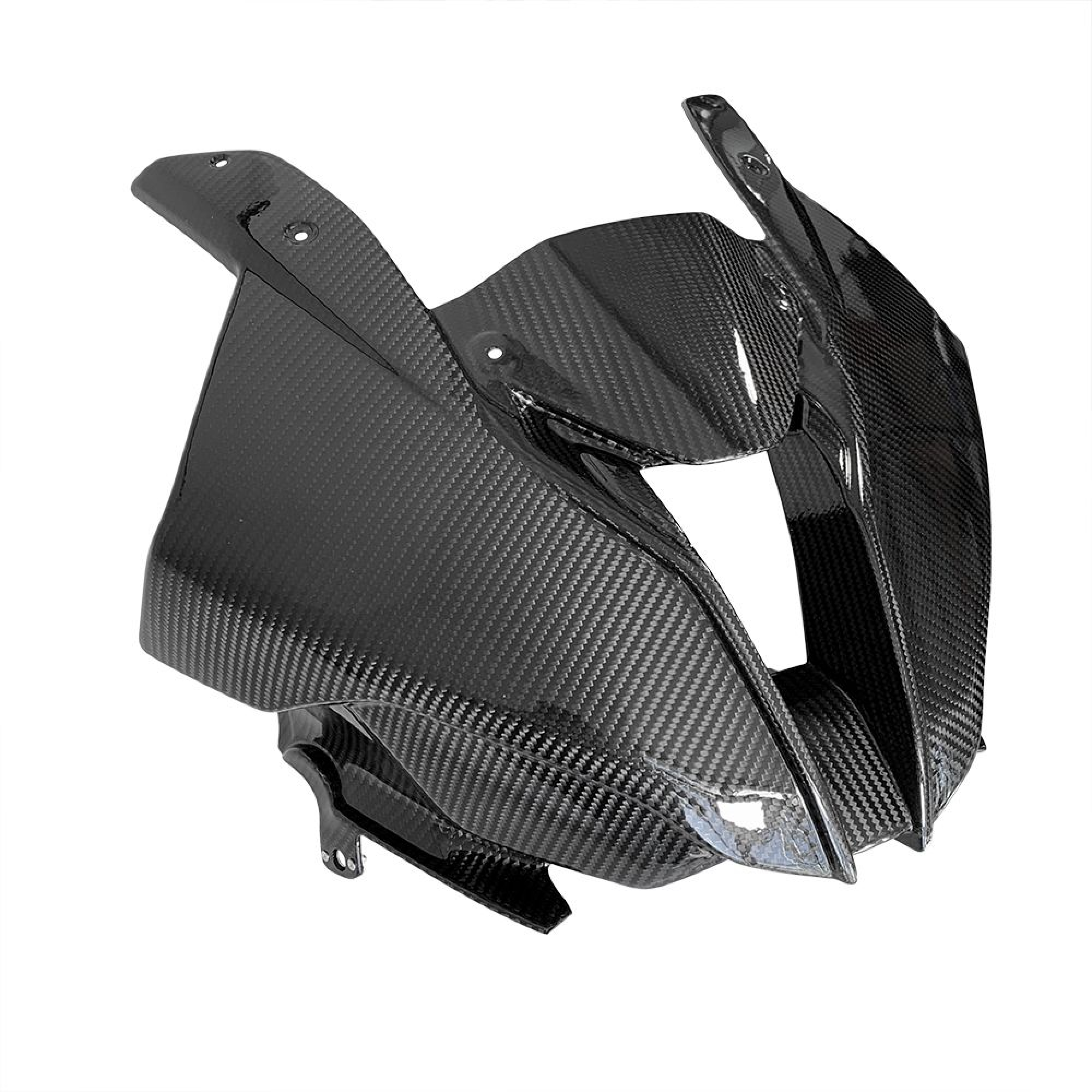 Carbon Race fairing for BMW M 1000 RR, 21-22