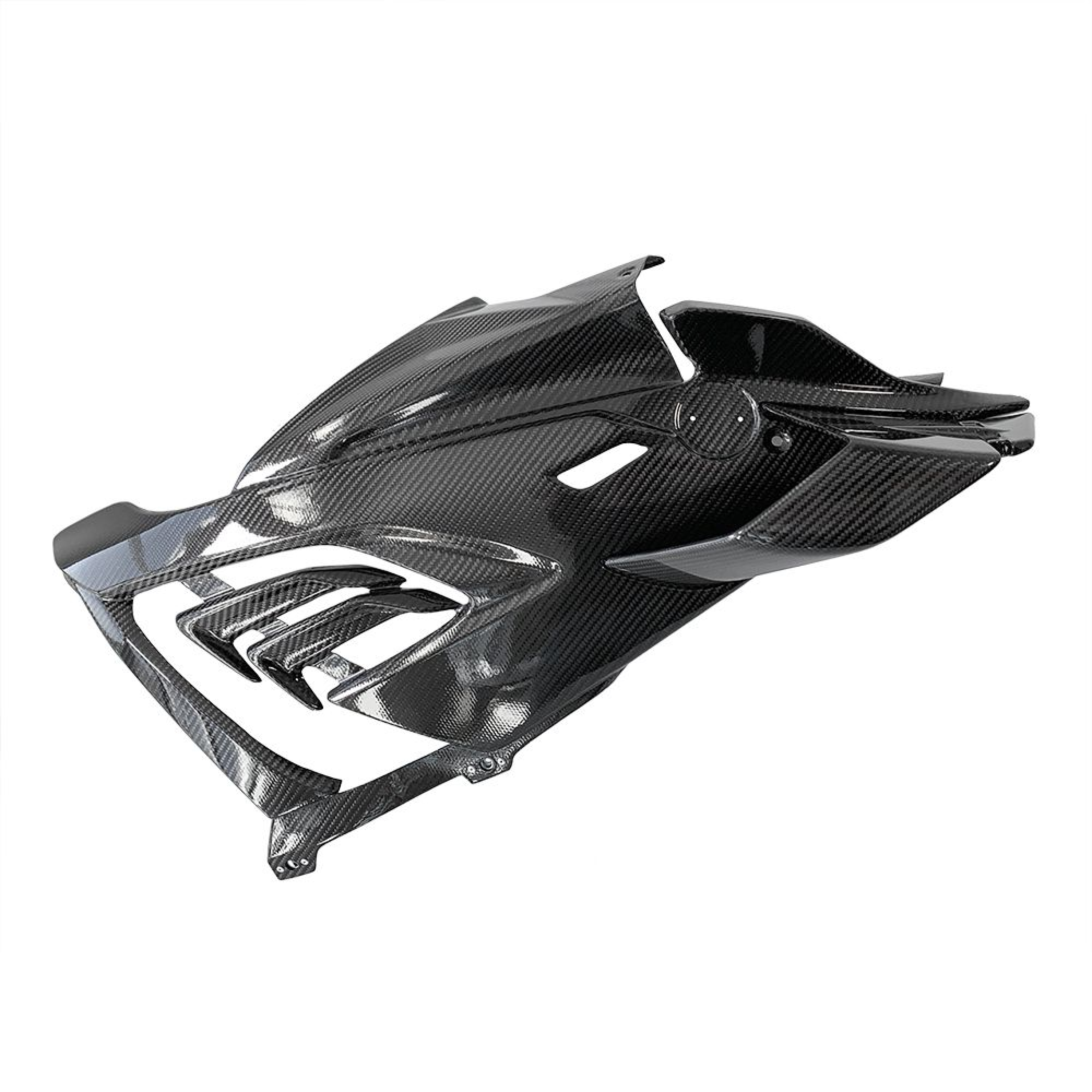 Carbon Race fairing for BMW M 1000 RR, 21-22