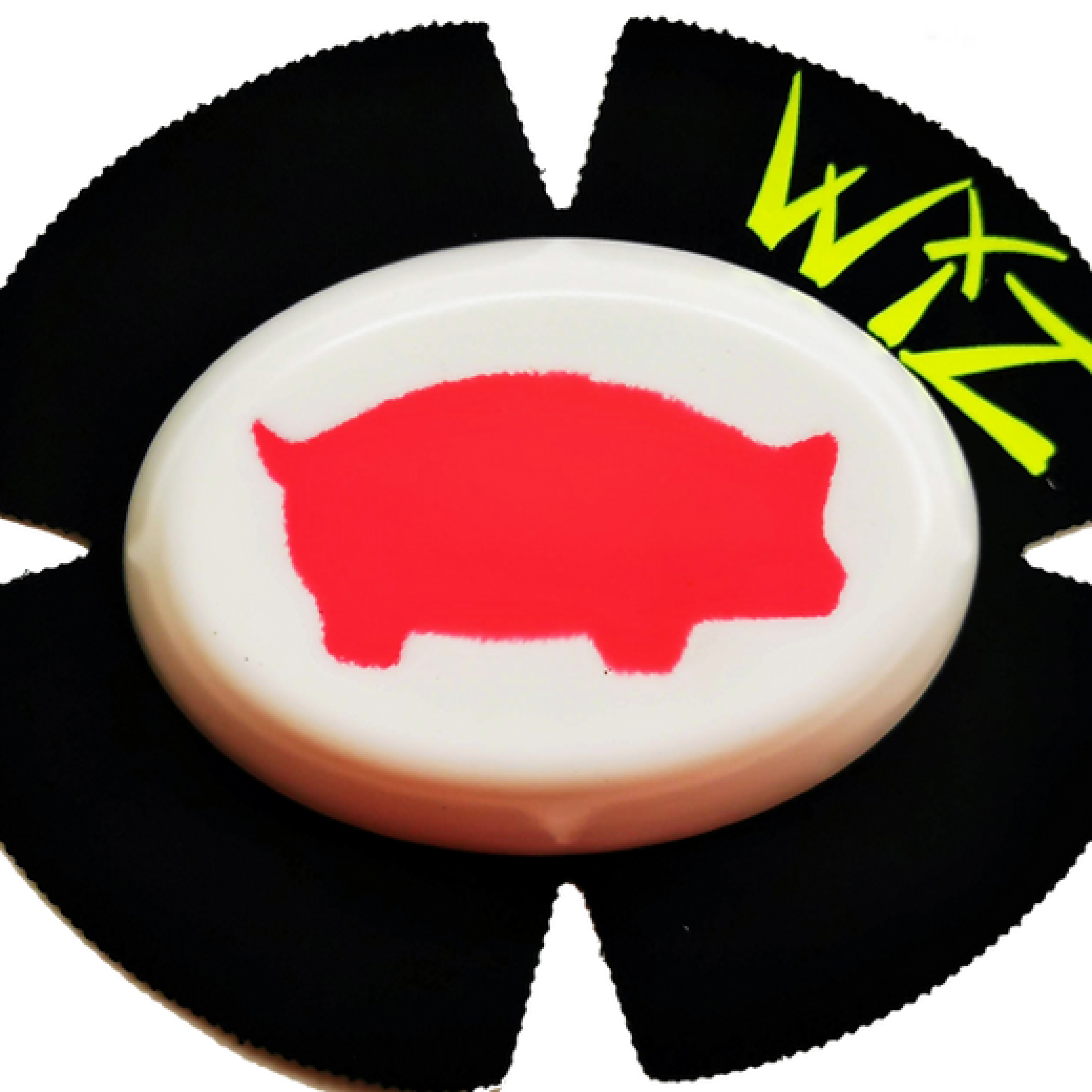 Wiz Piggy