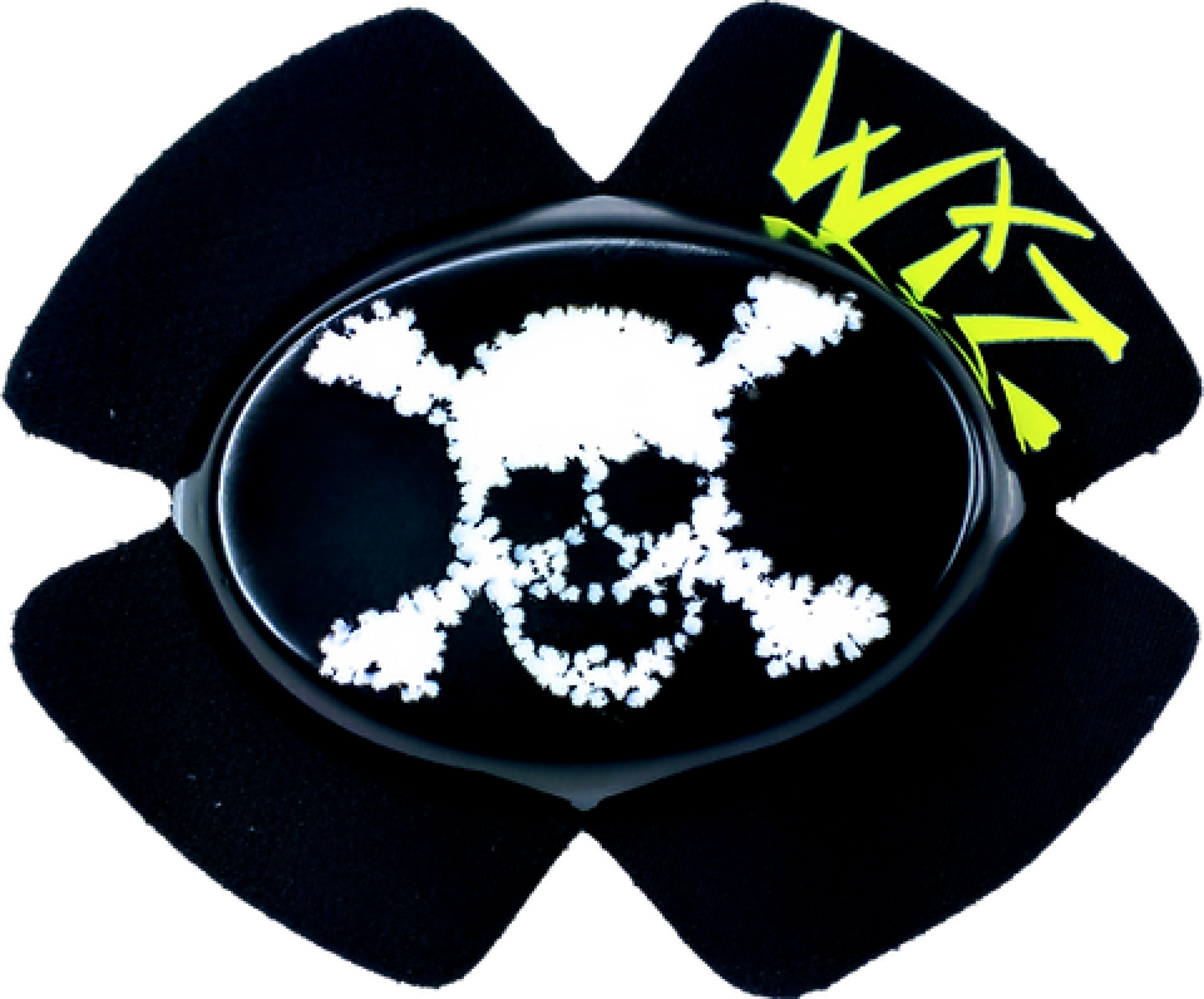 Wiz Skull and Bones