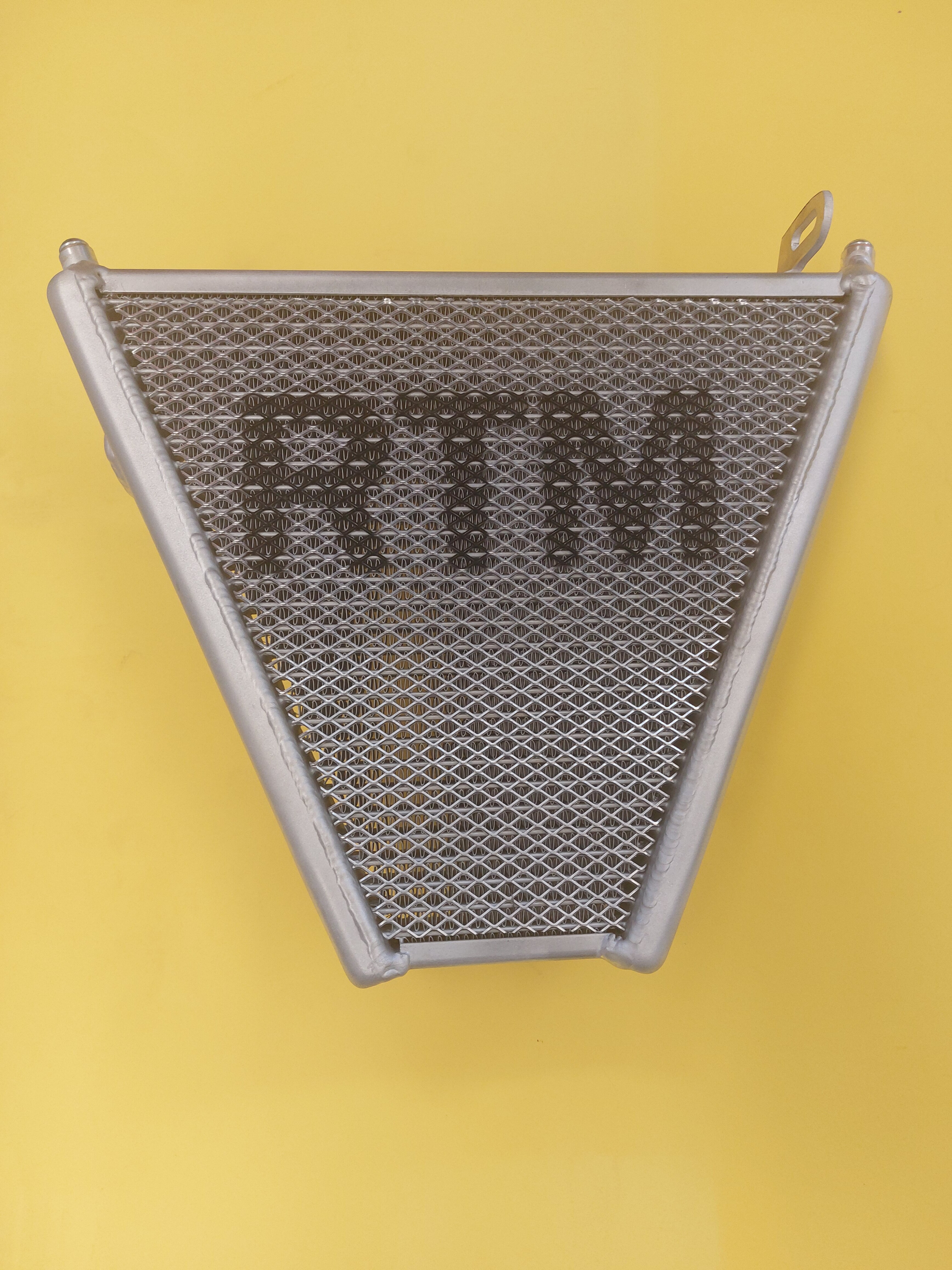 RTM Wasser-Kühler Kit für Aprilia RS660