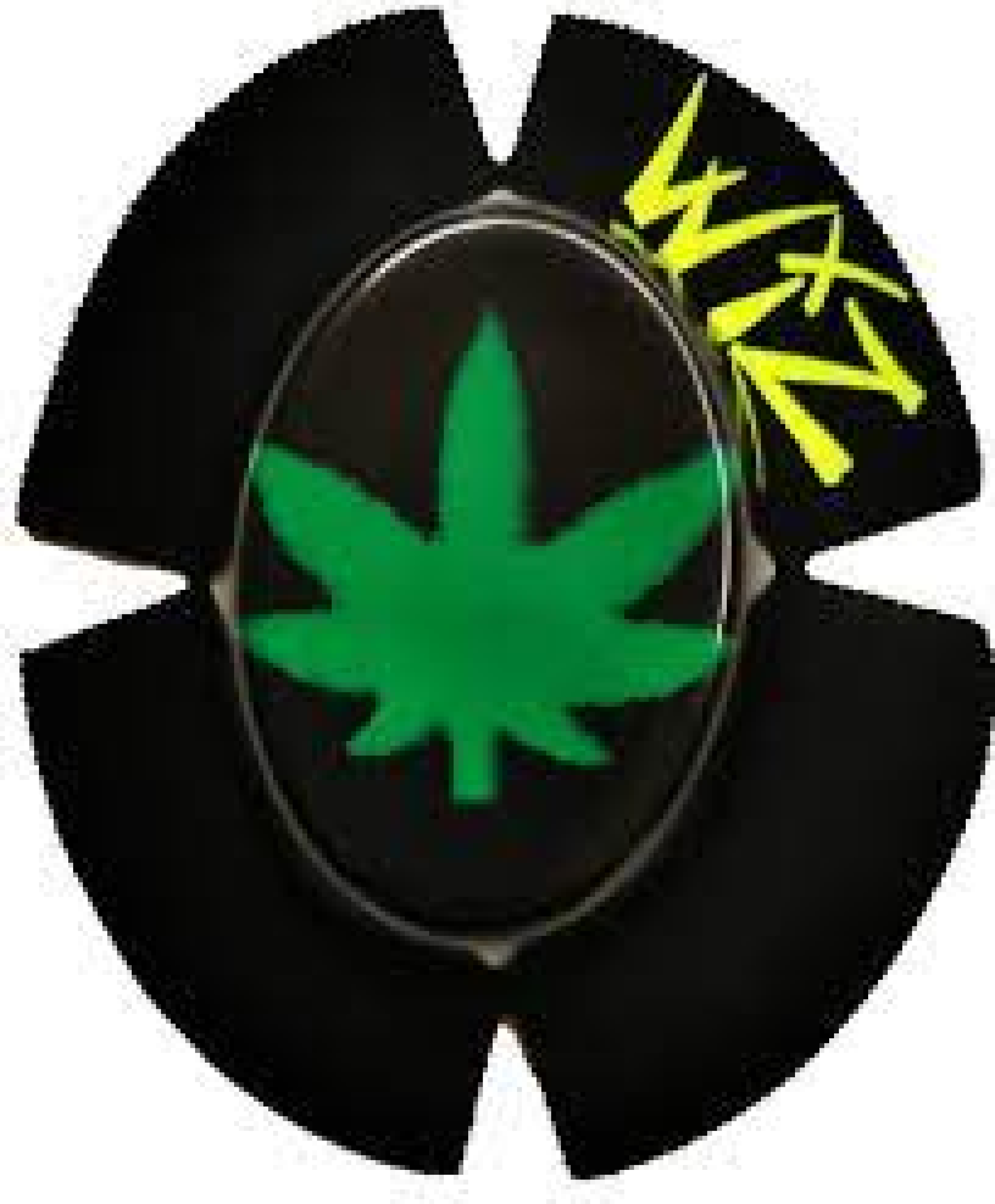 Wiz Knieschleifer - Leaf -  Sparky