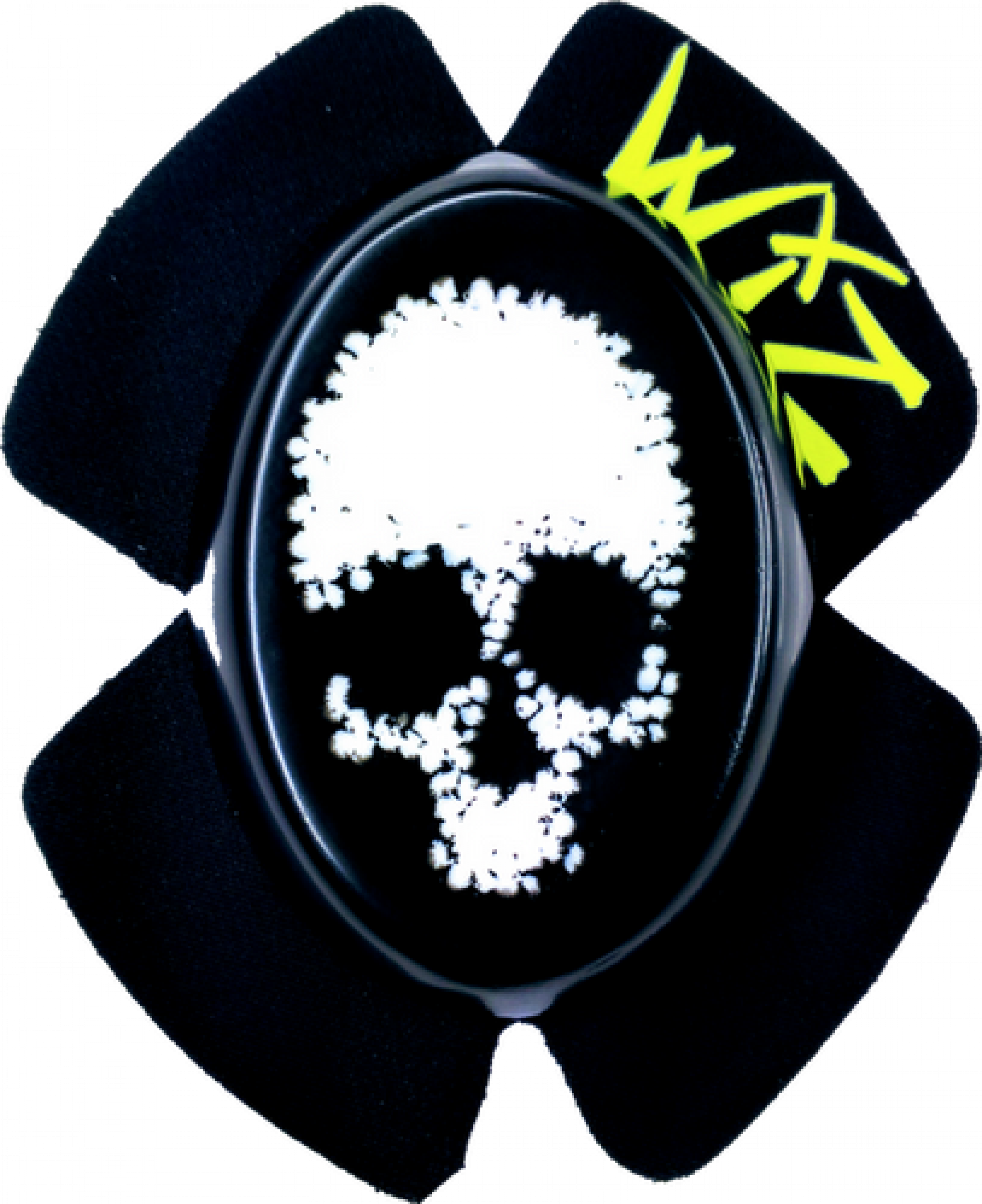 Wiz Skaulp Decay in black-white